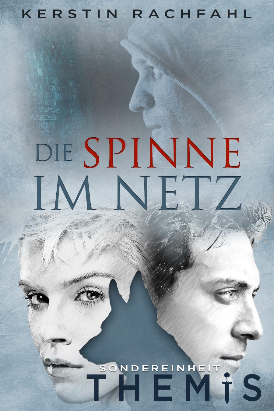 Cover: Die Spinne im Netz