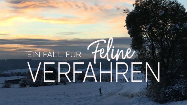 Winterlandschaft im Sauerland in der Morgenröte